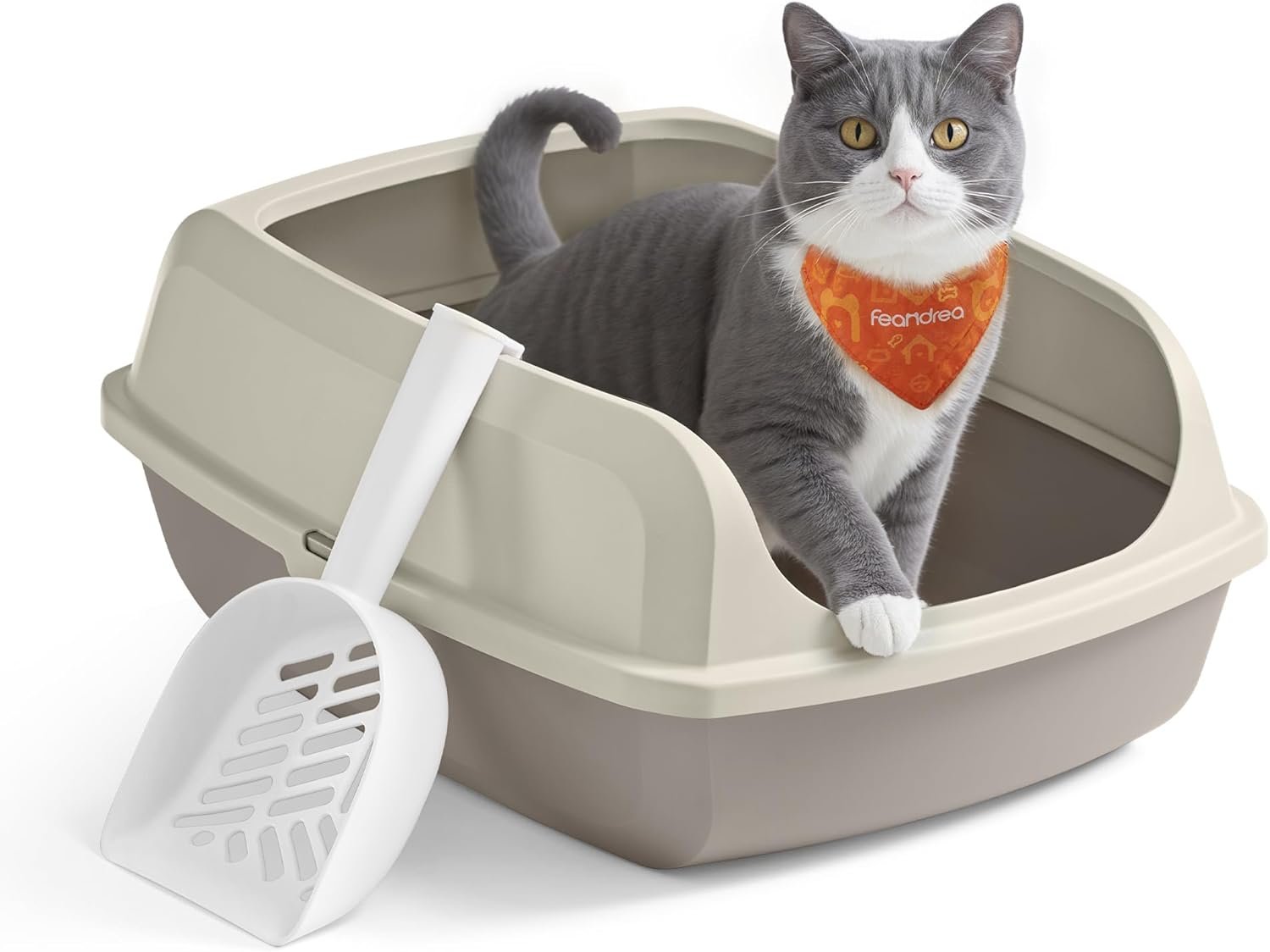 Arenero barato para gatos: opción simple y económica