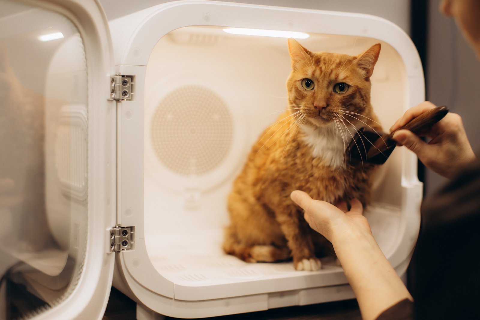 Arenero autolimpiante